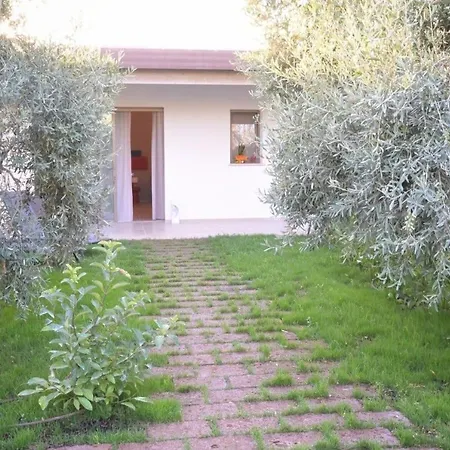Bed and Breakfast I Secolari Sannicandro di Bari Esterno foto